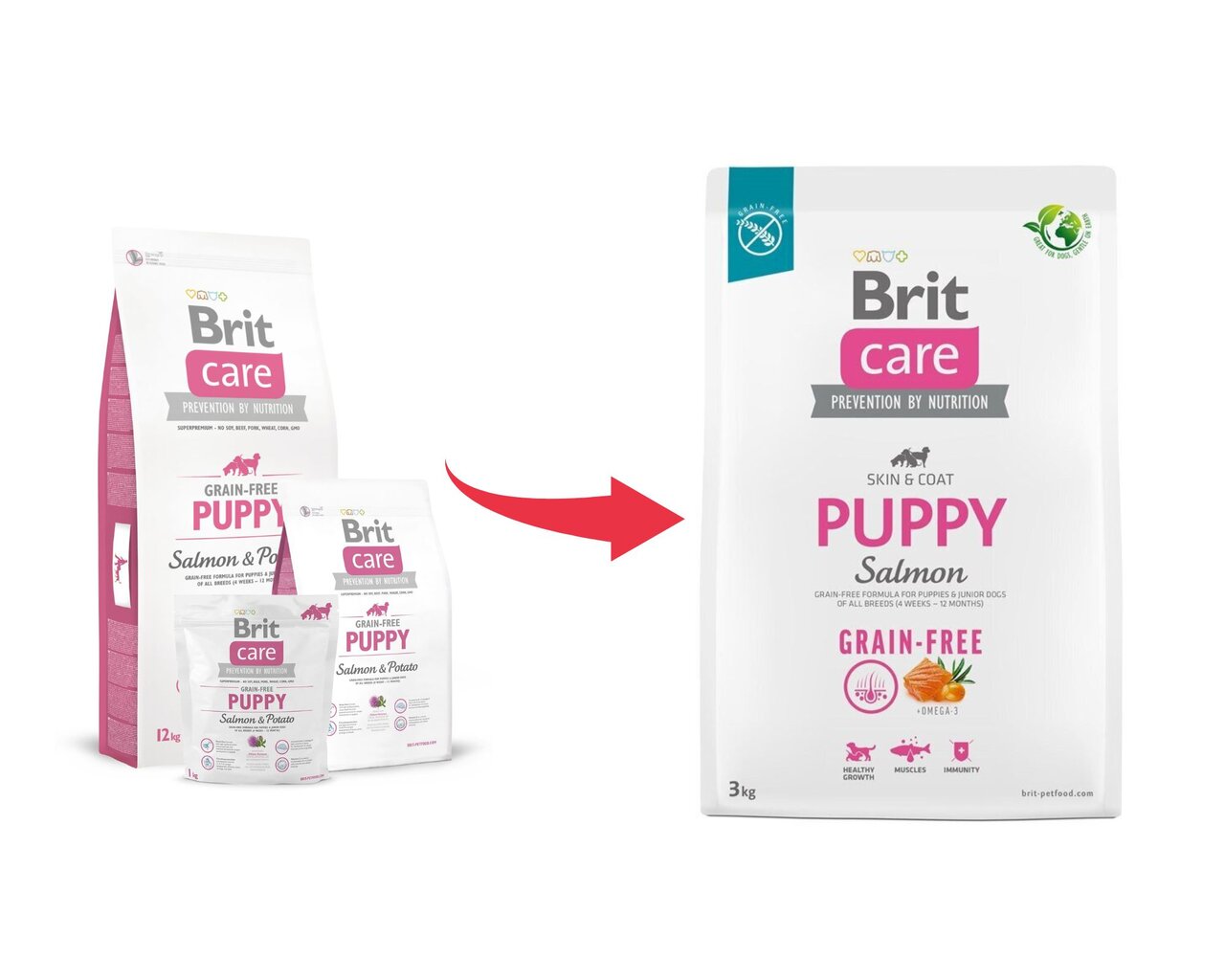 BritCare Grain-free sausas maistas visų veislių šuniukams ir jauniems šunims, 3 kg (nauja pakuotė) kaina ir informacija | Sausas maistas šunims | pigu.lt