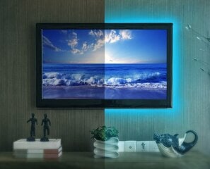 LED ленты RGB 4 шт. + пульт цена и информация | Светодиодные ленты | pigu.lt