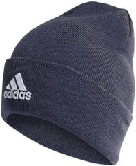 Kepurė Adidas Logo Beanie HL4809/OSFM kaina ir informacija | Vyriški šalikai, kepurės, pirštinės | pigu.lt