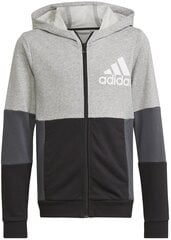 Джемпер Adidas U Cb Hoodie Grey HN8564 HN8564/176 цена и информация | Свитеры, жилетки, пиджаки для мальчиков | pigu.lt