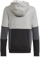 Джемпер Adidas U Cb Hoodie Grey HN8564 HN8564/176 цена и информация | Свитеры, жилетки, пиджаки для мальчиков | pigu.lt