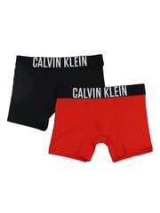 Calvin Klein trumpikės berniukams 520882703, 2 vnt. kaina ir informacija | Apatiniai drabužiai berniukams | pigu.lt