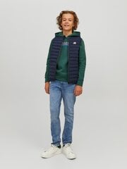 Детский жилет Jack & Jones, 60 гр, 12229981*01, тёмно-синий, 5715414243558 цена и информация | Свитеры, жилетки, пиджаки для мальчиков | pigu.lt