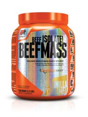 Extrifit Beef Mass, šokolado skonio, 1500 g kaina ir informacija | Papildai ir preparatai masei auginti | pigu.lt