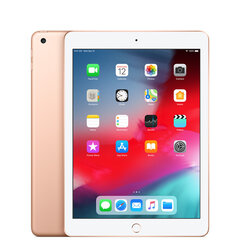 iPad 6 9.7" 32GB WiFi Gold (atnaujinta, būklė A) kaina ir informacija | Planšetiniai kompiuteriai | pigu.lt