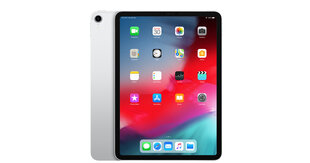 iPad Pro 11" 1.gen 256GB WiFi Silver (atnaujinta, būklė A) kaina ir informacija | Planšetiniai kompiuteriai | pigu.lt