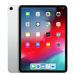 iPad Pro 11" 1.gen 64GB WiFi + Cellular Silver (atnaujinta, būklė A) kaina ir informacija | Planšetiniai kompiuteriai | pigu.lt