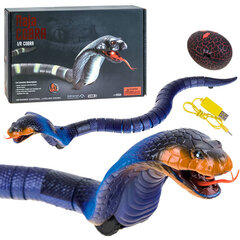 Nuotoliniu būdu valdoma gyvatė Cobra, Jokomisiada kaina ir informacija | Žaislai berniukams | pigu.lt