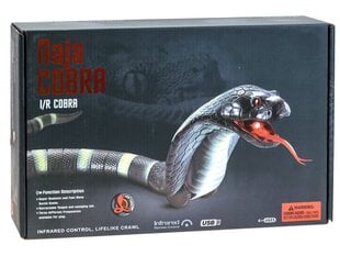 Nuotoliniu būdu valdoma gyvatė Cobra, Jokomisiada kaina ir informacija | Žaislai berniukams | pigu.lt