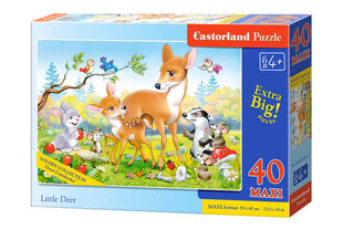 Dėlionė Castorland Little Deer, 40 d. kaina ir informacija | Dėlionės (puzzle) | pigu.lt