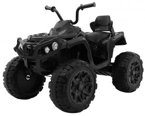 Квадроцикл Quad ATV, черный цена и информация | Электромобили для детей | pigu.lt