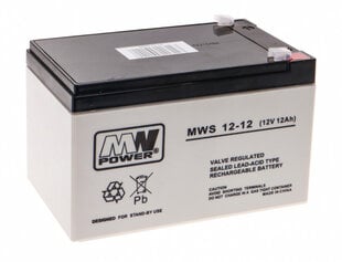 Аккумулятор MWpower 12В 12AH цена и информация | Akumuliatoriai | pigu.lt