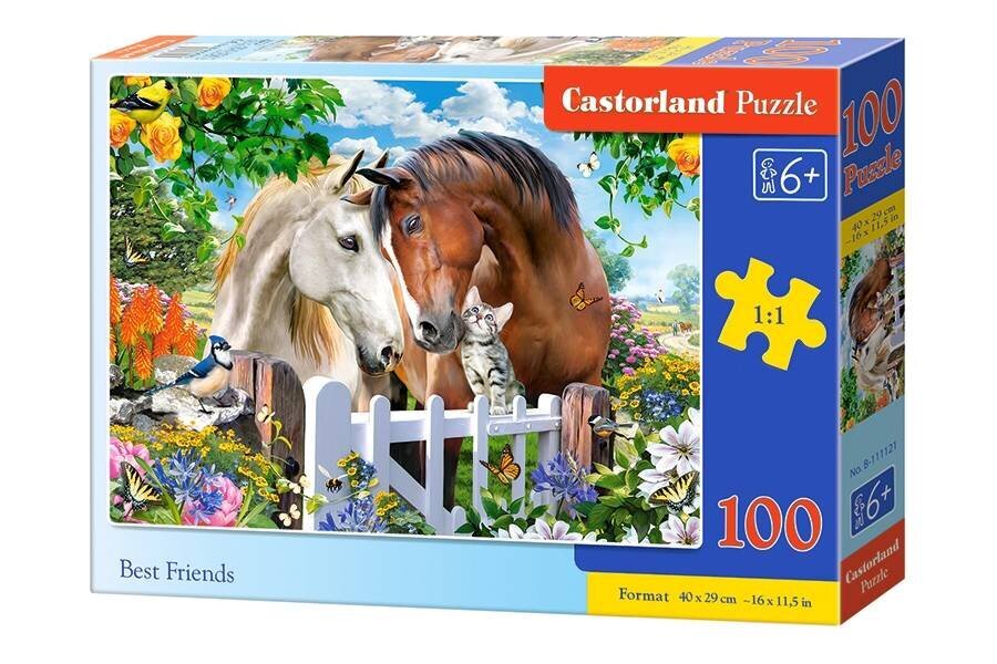 Dėlionė Castorland Geriausi draugai, 100 d. цена и информация | Dėlionės (puzzle) | pigu.lt