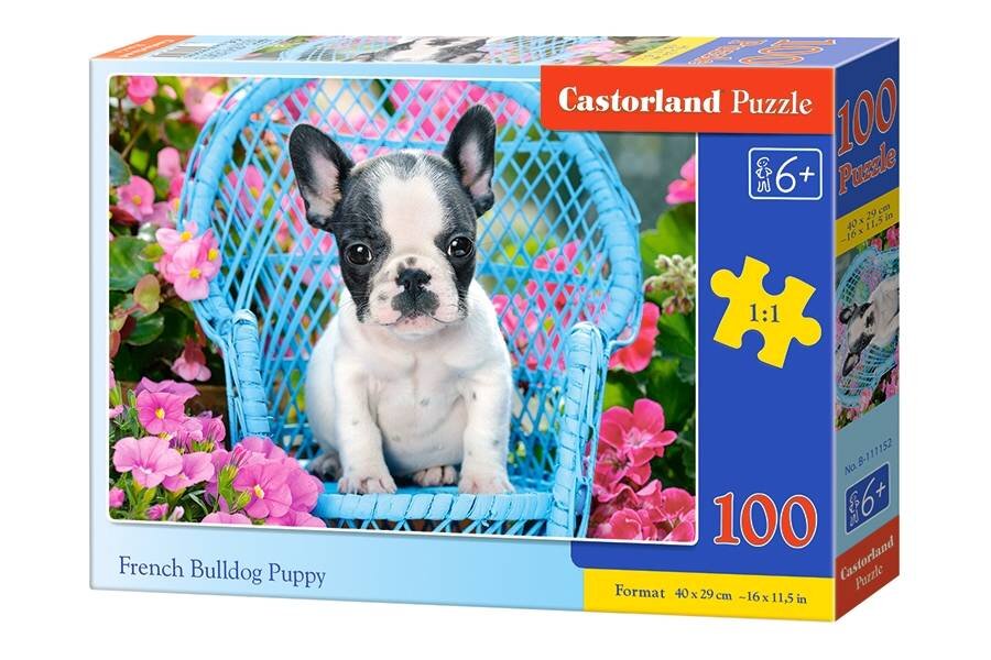 Dėlionė Castorland Bulldog Puppy, 100 d. цена и информация | Dėlionės (puzzle) | pigu.lt
