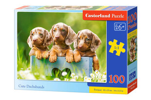 Пазл Castorland Cute Dachshunds, 100 д. цена и информация | Пазлы | pigu.lt