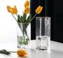 Vaza stiklinė, 24.5x8x8 cm kaina ir informacija | Vazos | pigu.lt