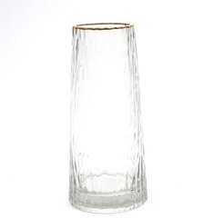 Vaza stiklinė 24x10.5 cm kaina ir informacija | Vazos | pigu.lt