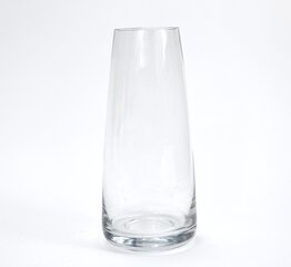 Стеклянная ваза, 22 х 10 см цена и информация | Вазы | pigu.lt