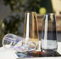 Vaza stiklinė 22x10 cm kaina ir informacija | Vazos | pigu.lt