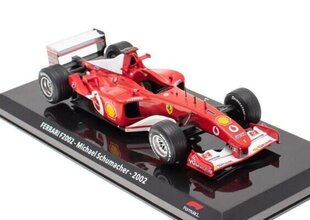 FERRARI F2002 Michael Schumacher - 2002 World Champion HACHETTE 1:24 цена и информация | Коллекционные модели автомобилей | pigu.lt