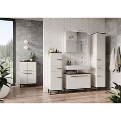 Шкаф для ванной комнаты 2754, белый цвет цена и информация | Шкафчики для ванной | pigu.lt