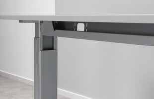 Письменный стол 4240, серый цвет цена и информация | Компьютерные, письменные столы | pigu.lt