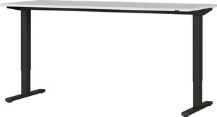 Письменный стол 4244, серый цвет цена и информация | Компьютерные, письменные столы | pigu.lt