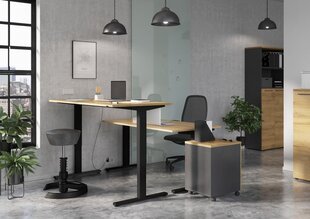 Письменный стол 4244, коричневый цвет цена и информация | Компьютерные, письменные столы | pigu.lt