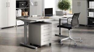 Письменный стол 4253, серый цвет цена и информация | Компьютерные, письменные столы | pigu.lt