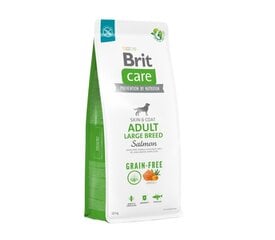 Brit Care Для крупных пород  цена и информация | Brit Care Для собак | pigu.lt