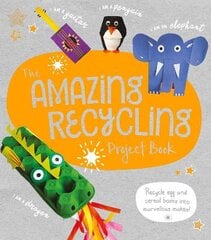 Amazing Recycling Project Book: Recycle egg and cereal boxes into marvellous makes! цена и информация | Книги для подростков и молодежи | pigu.lt