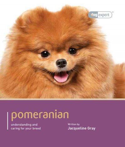 Pomeranian - Dog Expert kaina ir informacija | Saviugdos knygos | pigu.lt