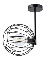 Потолочный светильник CHERRY 32361 цена и информация | Потолочные светильники | pigu.lt