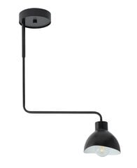 Потолочный светильник HOLI 32445 цена и информация | Люстры | pigu.lt