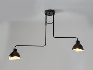 Потолочный светильник HOLI 32447 цена и информация | Потолочные светильники | pigu.lt