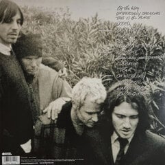 Виниловая пластинка Red Hot Chili Peppers «By The Way», 2 пластинки, 12" цена и информация | Виниловые пластинки, CD, DVD | pigu.lt