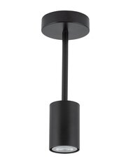 Pakabinamas šviestuvas Luis 33416 kaina ir informacija | Pakabinami šviestuvai | pigu.lt
