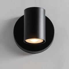 Настенный светильник LUIS 33426 цена и информация | Настенные светильники | pigu.lt