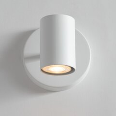 Настенный светильник LUIS 33427 цена и информация | Настенные светильники | pigu.lt