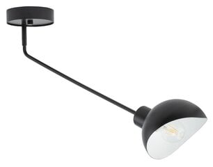 Потолочный светильник ROY 32427 цена и информация | Потолочные светильники | pigu.lt
