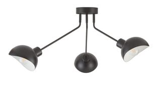 Потолочный светильник ROY 32431 цена и информация | Потолочные светильники | pigu.lt