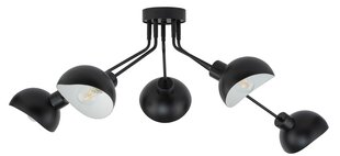 Потолочный светильник ROY 32433 цена и информация | Потолочные светильники | pigu.lt