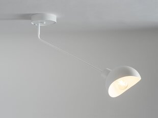 Потолочный светильник ROY 32428 цена и информация | Потолочные светильники | pigu.lt