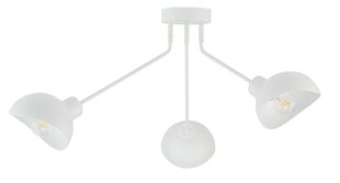 Потолочный светильник ROY 32432 цена и информация | Потолочные светильники | pigu.lt