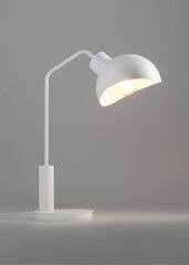 Настольная лампа Roy 50327 цена и информация | Настольные светильники | pigu.lt