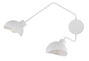 Настенный светильник ROY 32497 цена и информация | Настенные светильники | pigu.lt