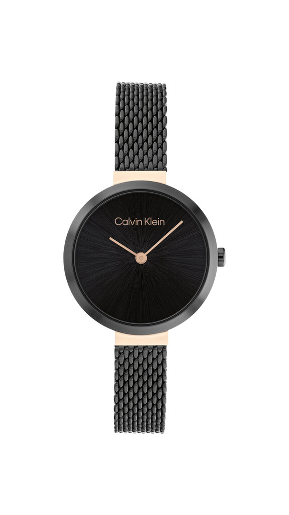 Moteriškas laikrodis Calvin Klein CK25200084 цена и информация | Moteriški laikrodžiai | pigu.lt