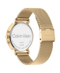 Vyriškas laikrodis Calvin Klein 25200049 kaina ir informacija | Vyriški laikrodžiai | pigu.lt
