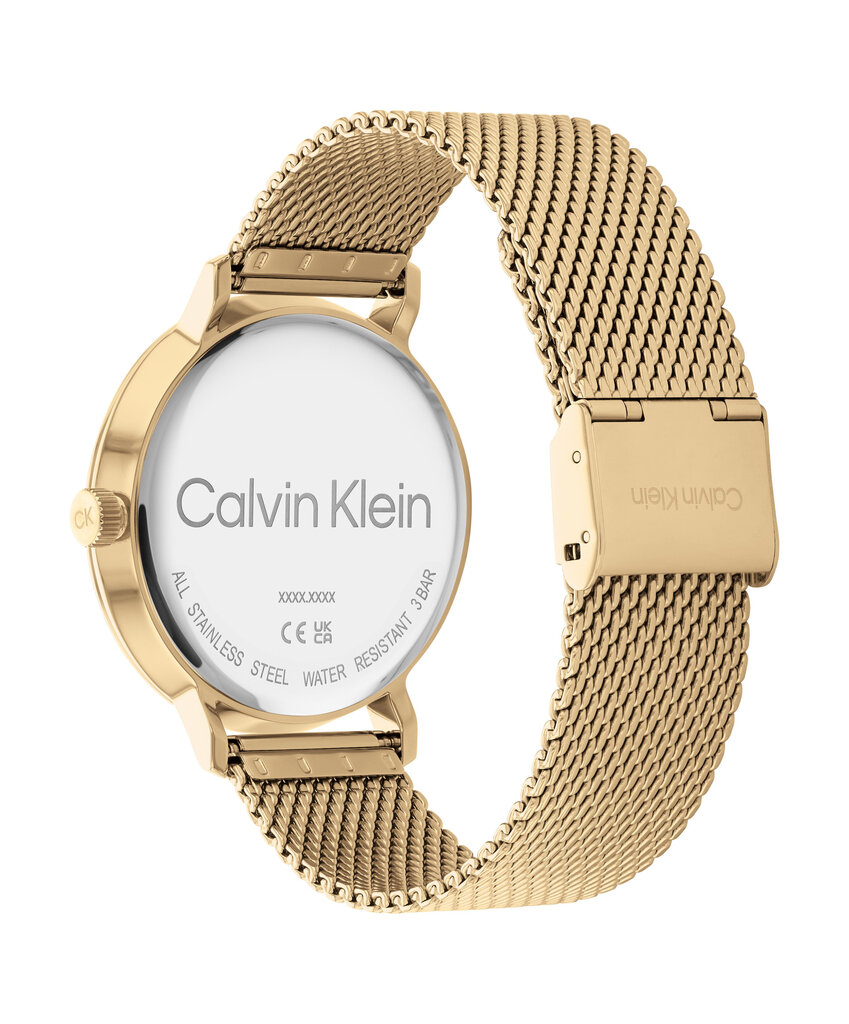 Vyriškas laikrodis Calvin Klein 25200049 kaina ir informacija | Vyriški laikrodžiai | pigu.lt