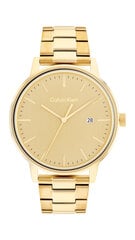 Vyriškas laikrodis Calvin Klein 25200056 kaina ir informacija | Vyriški laikrodžiai | pigu.lt